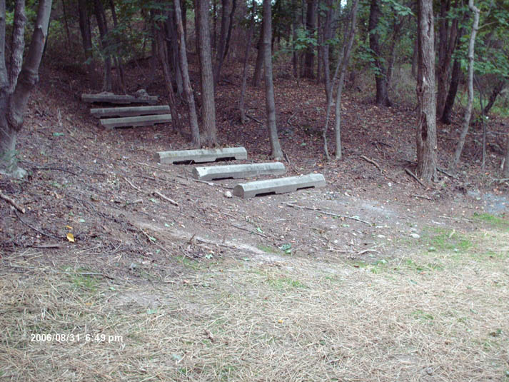 HPIM0706