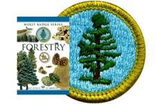 IMG_3252_Forestry_MB_Patch