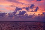 IMG_3923a