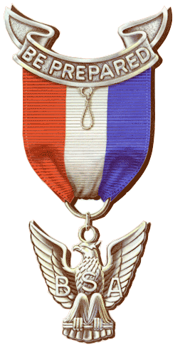 Eagle award Ribbon or emblem