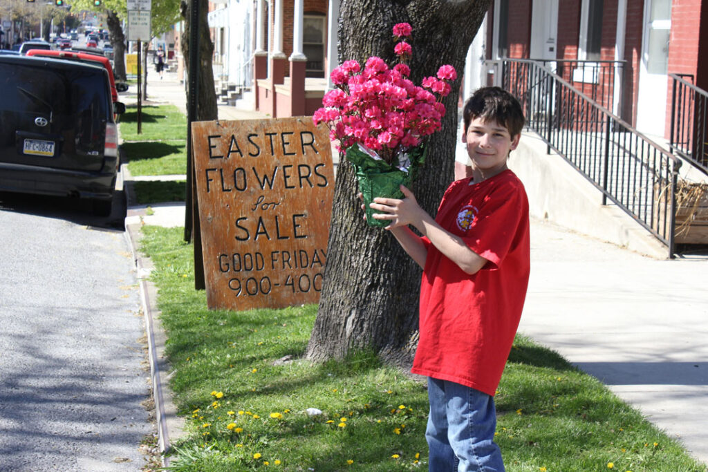 Flower-Sale Promotion